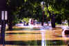 flood11.jpg (178522 bytes)