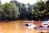 theflood3 (341772 bytes)